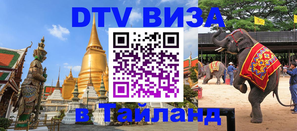 Электронная виза DTV в Тайланд Новомосковск 